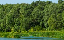 Дон у Вешенской