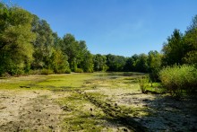 Дон у Вешенской