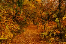 Осень у Дона и Аксая