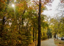 Улица Первой Конной армии