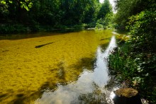 Песковатка