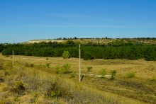 Песковатка