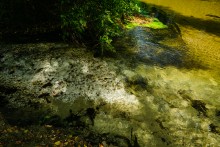 Песковатка