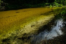 Песковатка