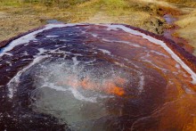 Источник "Кипучий" у станицы Мелиховской