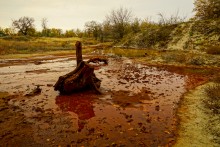 Источник "Кипучий" у станицы Мелиховской