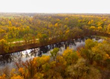 Урочище Церковный рынок у станицы Кочетовской