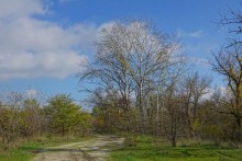 Урочище Церковный рынок у станицы Кочетовской