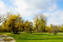 Урочище Церковный рынок у станицы Кочетовской