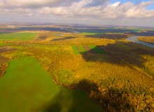 Урочище Церковный рынок у станицы Кочетовской