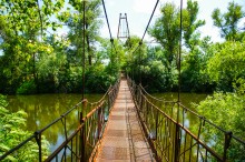 Урочище Церковный рынок у станицы Кочетовской