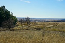 За грибами на берега Быстрой
