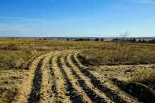 За грибами на берега Быстрой