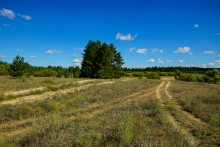 Памятники природы в окрестностях станицы Вешенской