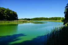Памятники природы в окрестностях станицы Вешенской