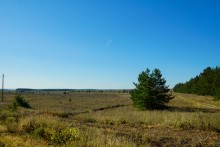 Памятники природы в окрестностях станицы Вешенской