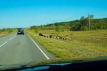 Памятники природы в окрестностях станицы Вешенской