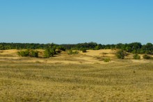 Памятники природы в окрестностях станицы Вешенской