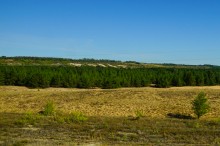 Памятники природы в окрестностях станицы Вешенской