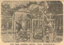 Ростов на страницах Молота в 30-х