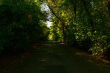 Бой 21 ноября 1941 г. на переправе через Зеленый остров