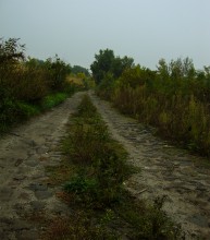 Бой 21 ноября 1941 г. на переправе через Зеленый остров