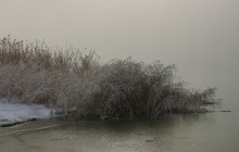 Туман и солнце 