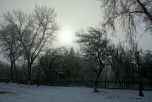 Туман и солнце 