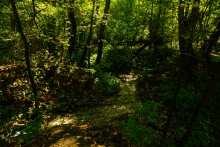 Водяная мельница в селе Колодежное