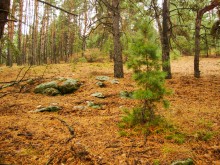 Гора Городище