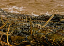 Ледяной прибой на Чумбур-косе