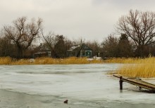 Хутора Донской и Узяк в дельте Дона
