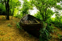 Хутора Донской и Узяк в дельте Дона