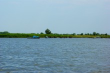 Хутора Донской и Узяк в дельте Дона