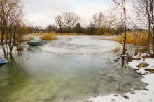 Хутора Донской и Узяк в дельте Дона