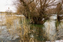 Хутора Донской и Узяк в дельте Дона