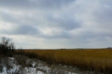 Хутора Донской и Узяк в дельте Дона