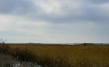 Хутора Донской и Узяк в дельте Дона