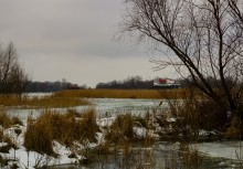 Хутора Донской и Узяк в дельте Дона