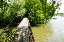 Хутора Донской и Узяк в дельте Дона