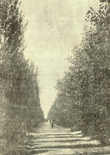 Ростов на Дону в 1934 г.