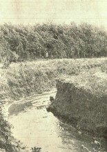 Ростов на Дону в 1934 г.