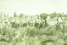 Старый Ростов, уборка льна на границе Ростова и Нахичевани 