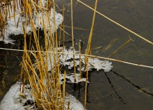 Февраль на Тузлове