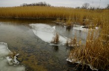 Февраль на Тузлове