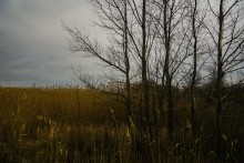 Февраль на Тузлове