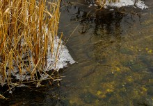 Февраль на Тузлове