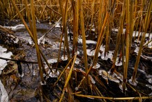 Февраль на Тузлове