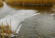 Февраль на Тузлове