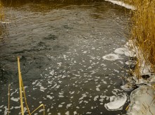 Февраль на Тузлове